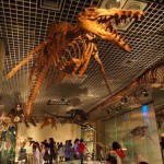 大恐竜の骨格標本3