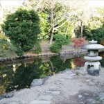 新宿御苑-日本庭園2