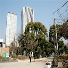 錦糸公園