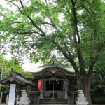 戸部杉山神社-1