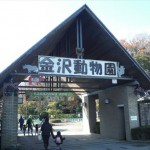 金沢自然公園-5