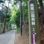 高尾山・景信山ハイキングコース-1