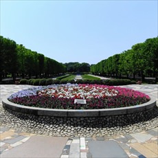 国営昭和記念公園園