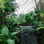 夢の島熱帯植物館-6