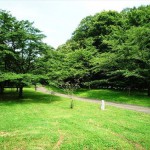 桜ヶ丘公園-3