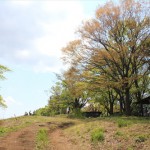 高尾山・景信山ハイキングコース-3