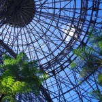 夢の島熱帯植物館-5