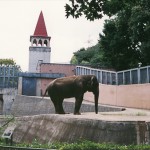 多摩動物公園-7