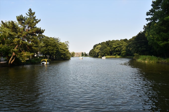 石神井公園