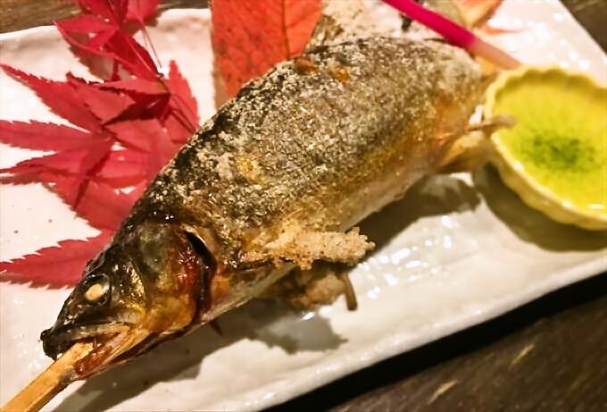 小川の魚