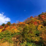 男性が勘違いしている女心-top