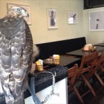 鷹匠茶屋 鷹匠茶屋