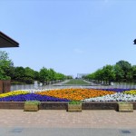 国営昭和記念公園2