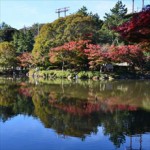 こども自然公園