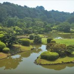 小石川植物園-3
