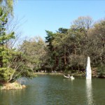 石神井公園-2
