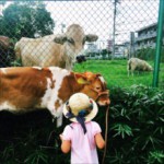 磯沼ミルクファーム